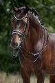 Stang en Trens Hoofdstel CONTENDOR White (Rondgenaaid)