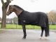 Showdeken met bontkraag BLACK (met patroon in het fleece)