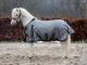Shetlandpony regendeken OBELIX 0 GREY 1680D (ongevoerd) 