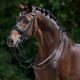 Stang en Trens Hoofdstel CONTENDOR Black (Rondgenaaid)