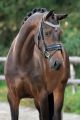 Trens hoofdstel Nacho Black (mat)