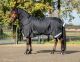 Winterdeken TYREX 200 BLACK 1680D (afneembare hals) 