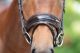 Neusriem DONNERWETTER Brown (lak)