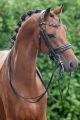 Stang en Trens hoofdstel PALADIUM Glitter (lak)
