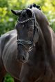 Trens hoofstel SINATRA Black/Silver (steentjes op neusriem, frontriem en kopstuk)