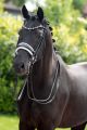 Stang en Trens Hoofdstel ESQUIRE White (Rondgenaaid)