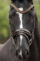 Trens Hoofdstel LEXICON Gold (bruin leer)