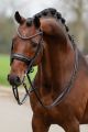 Stang en Trens hoofdstel RAPIDO Glitter BLACK (Glitter & Lak)