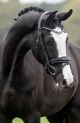Trens hoofdstel LUGANO Glitter Silver (lak)