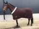 Thermotex Showdeken met bontkraag BROWN