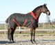 Staldeken Red Olympic met fleece kraag (400 gram)