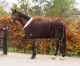 VELVET Show Rug / Transport Rug / Stable Rug BROWN (200 gram)