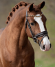 Trens hoofdstel DONNERWETTER Brown (Ventilatie lak neusriem & kopstuk)