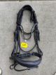 Hoofdstel  Sample sale FF maat Full