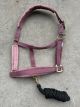 Halster VELVET old pink met gouden gespen & touw (maat FULL)