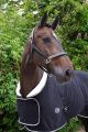 Leren halster Zwart (SOFT)