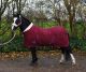 Shetlander Show Rug / Transport Rug / Stable Rug BORDEAUX (200 gram)