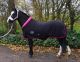 Shetlander Showdeken met bontkraag BLACK/PINK