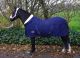 Shetlander Show Rug / Transport Rug / Stable Rug NAVY (200 gram)