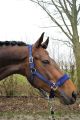 Halster Fleece NAVY