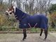 Thermotex Zweetdeken / Cooler Navy met afneembare hals 