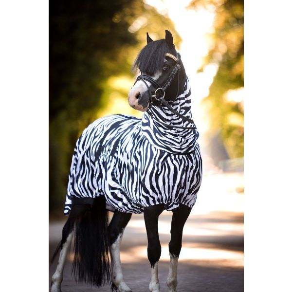 Accumulatie Verrijking Stal Shetlander Eczeem deken Zebra